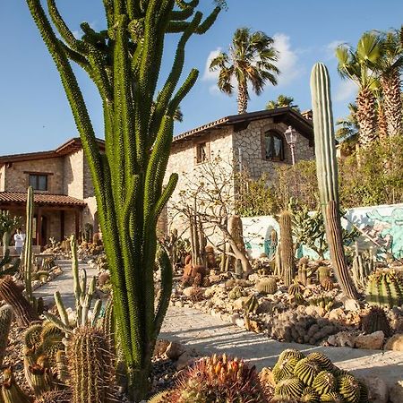 Garden Cactus Guest House Villaggio Mose  Luaran gambar