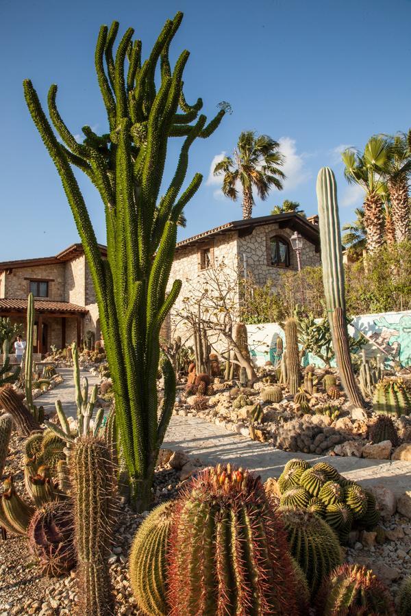 Garden Cactus Guest House Villaggio Mose  Luaran gambar